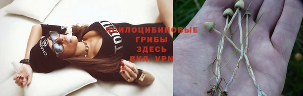 apvp Белоозёрский