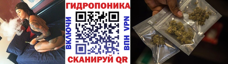 продажа наркотиков Брюховецкая Конопля марихуана